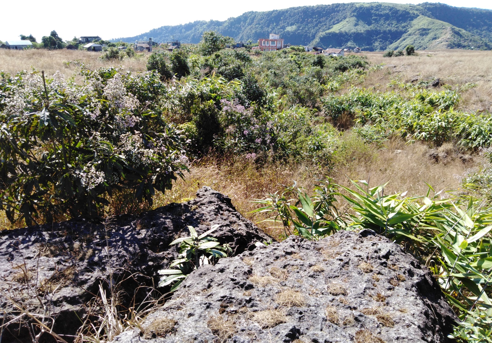 C:\Users\w10\Desktop\CLLMP\1.GROUND TRUTH SURVEY\Nongktieh GTS\IMG_20181127_112551.jpg